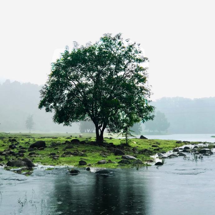 Malayalam
